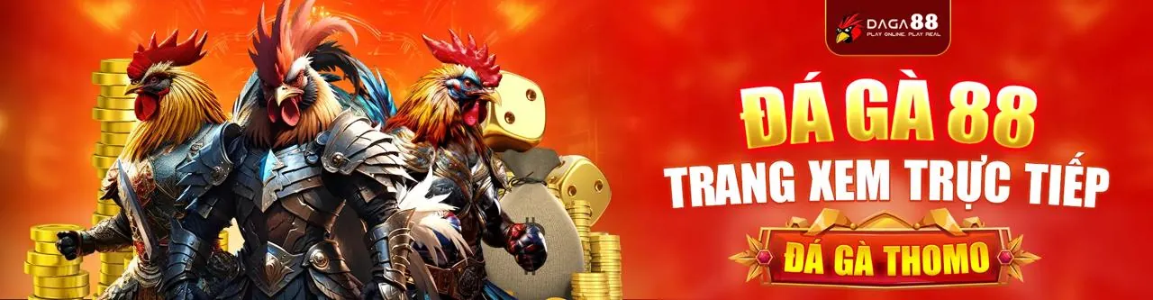 Đá gà trực tuyến kịch tính tại axz88 link vào